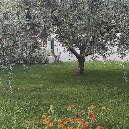 Lovor & Lavanda *