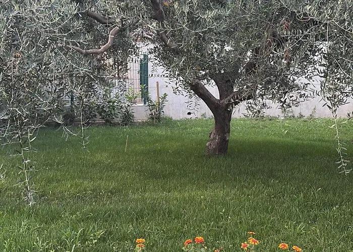 Lovor & Lavanda *