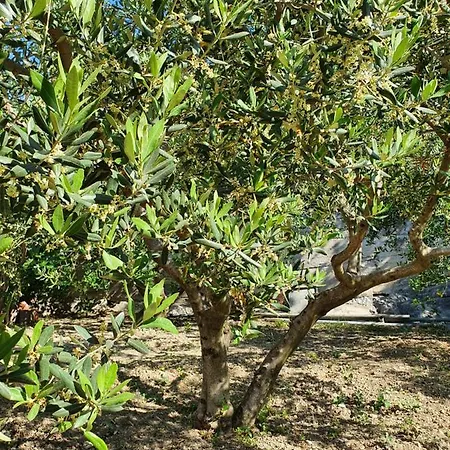Lovor&lavanda Appartement